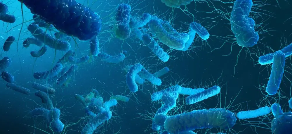 Antibiotics