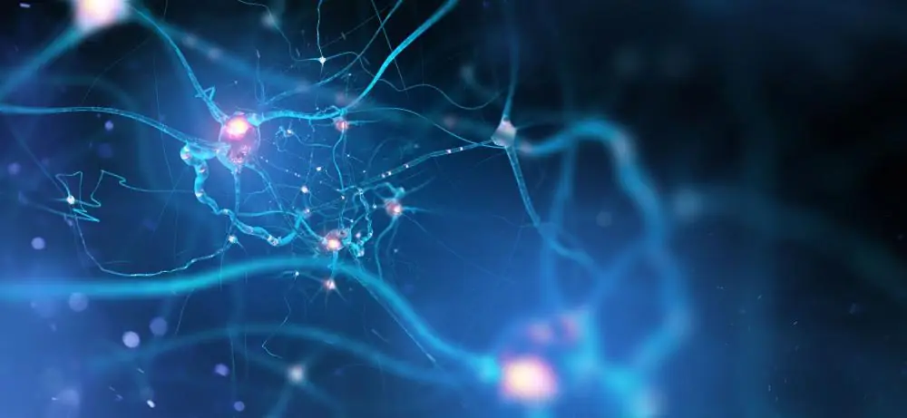 CNS