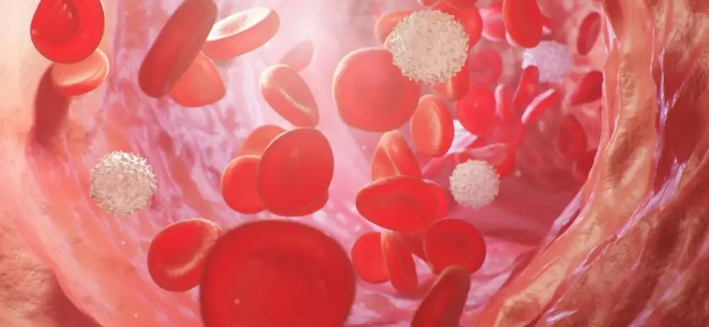Cardiovascular