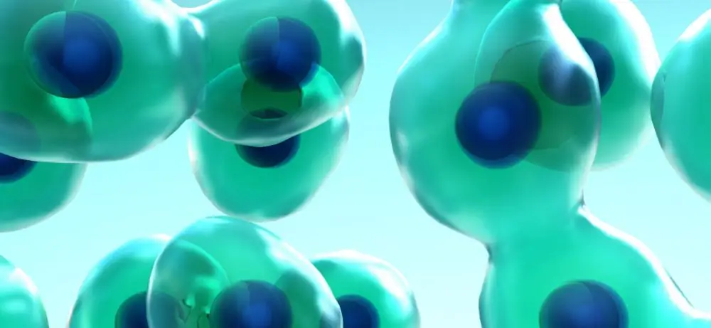 Cell Cycle Regulation