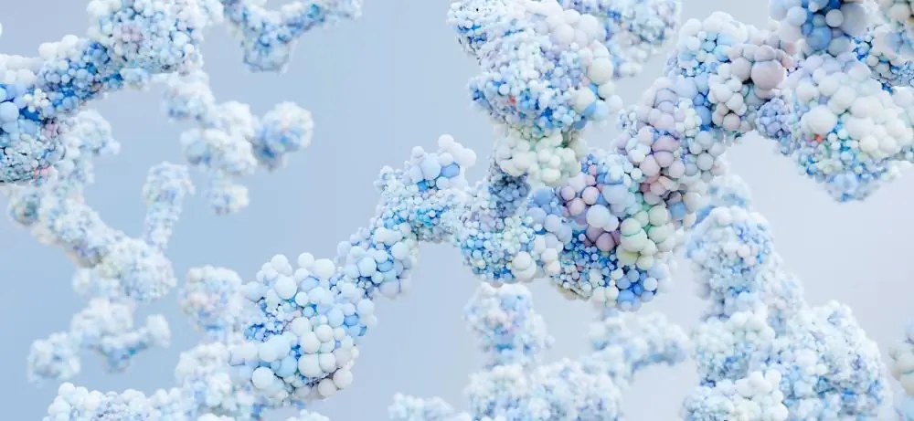 Enzymes