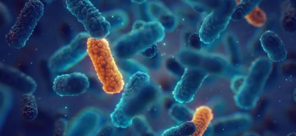 Infectious Disease