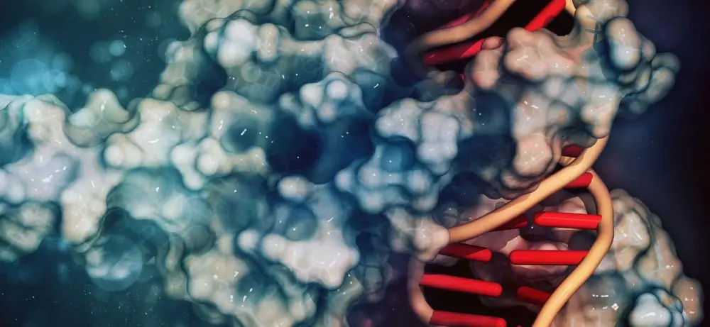 Zn-coordinating DNA-binding Domains